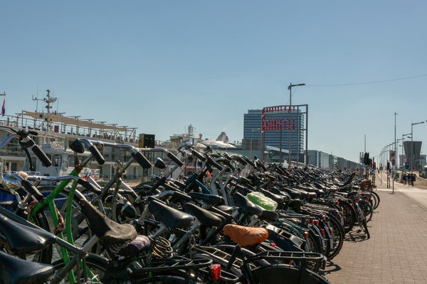 Best-sellers : Les secrets des romans les plus vendus