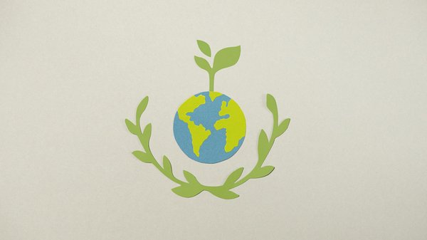 6 raisons surprenantes d'éviter la vigne vierge