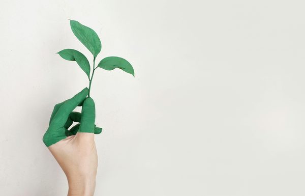 Découvrez les tendances écologiques sur notre blog écologie